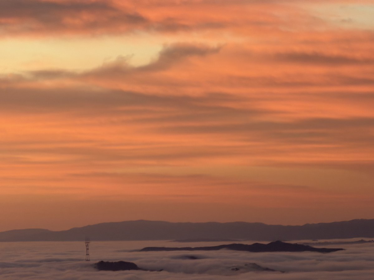 Richard Burton tweet media