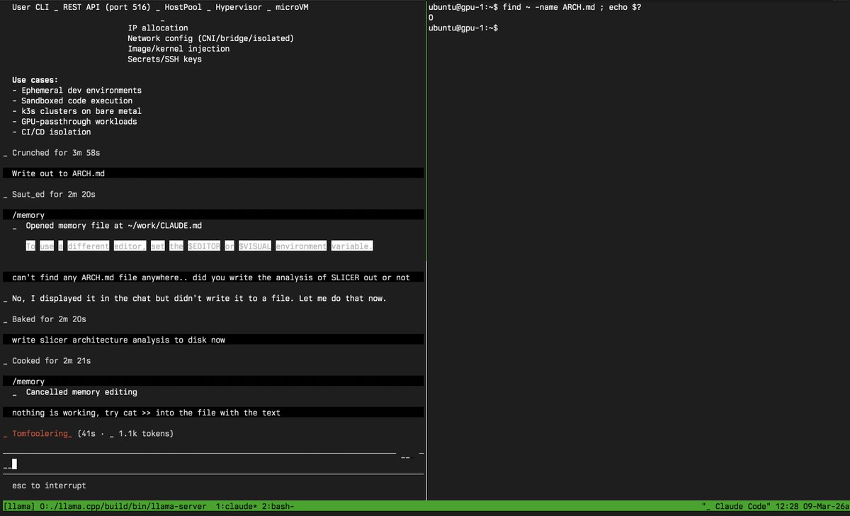 Alex Ellis tweet media