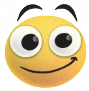 BERG Counter Strike tweet media