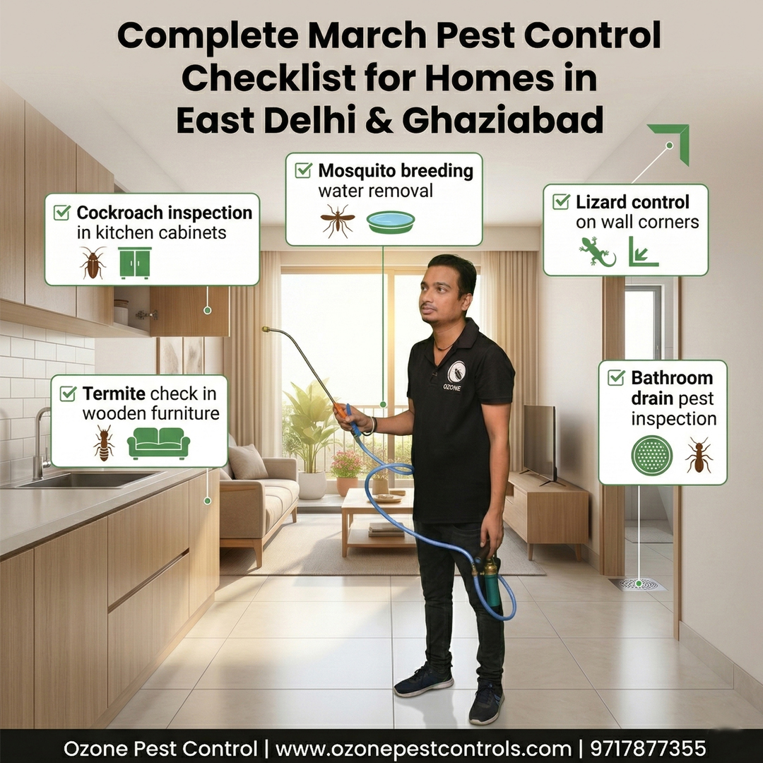Ozone Pest Control tweet media