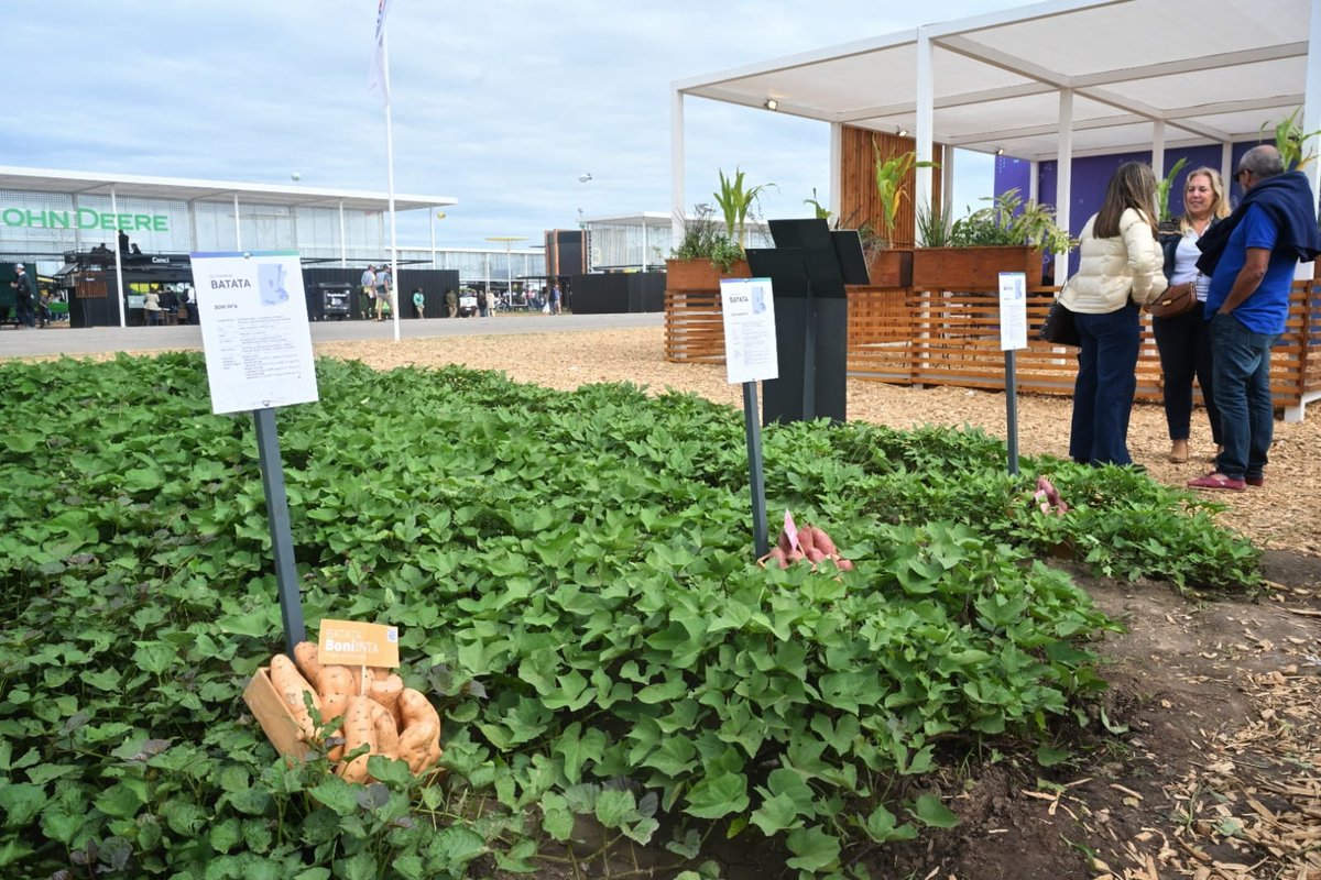 INTA Informa tweet media