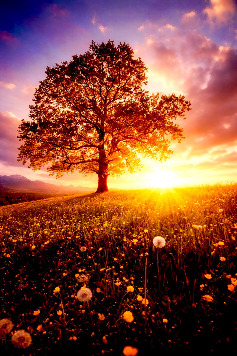 “Esperad hasta que Dios haya cambiado Su favor hacia vosotros. A Él nada Le pasa inadvertido. Él conoce los secretos tanto de los cielos como de la tierra. Su conocimiento abarca todas las cosas.”   #Baháulláh

#AllWeNeedIsGod
#OurStoryIsOne