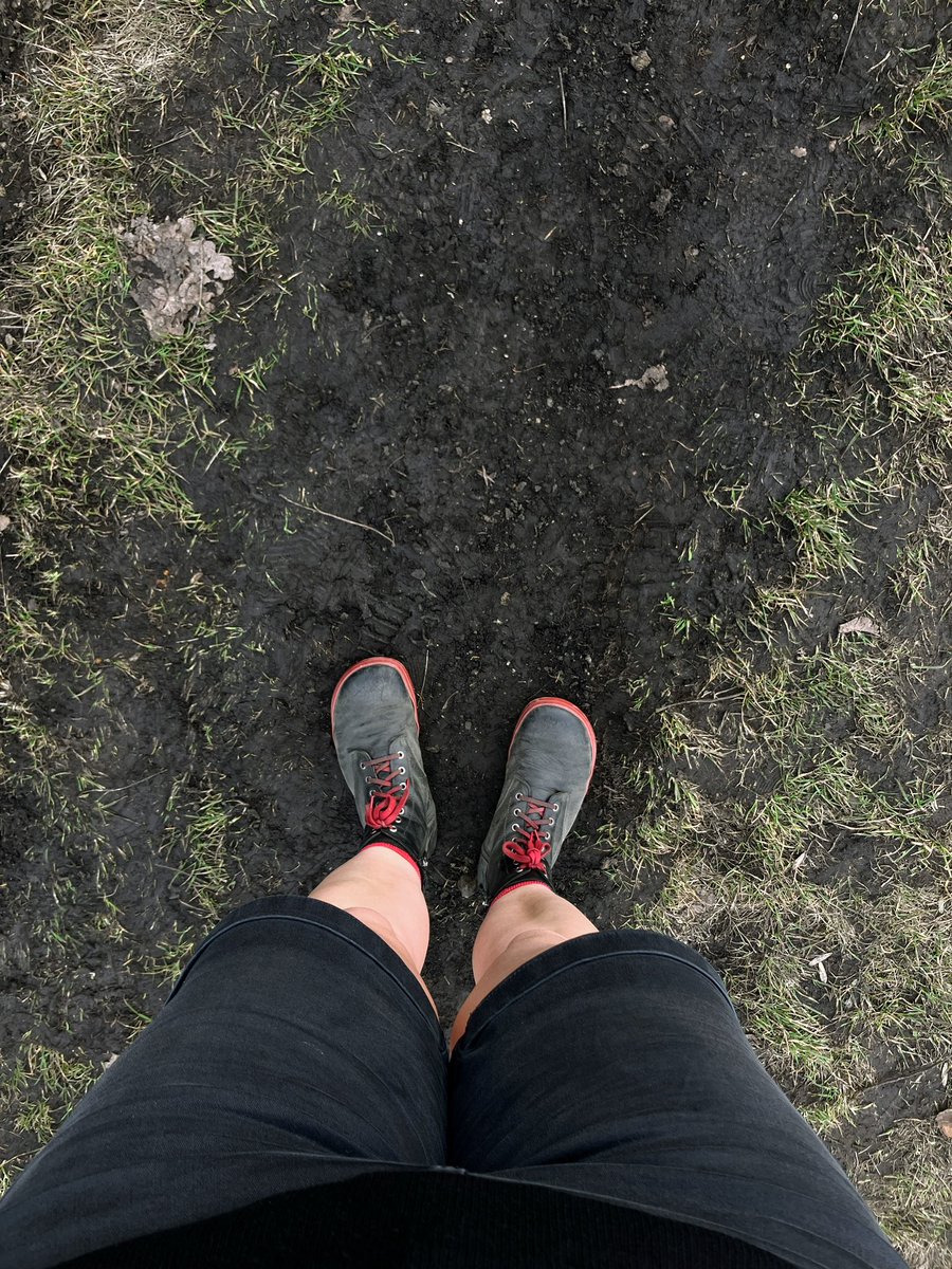 ovesná vločka tweet media