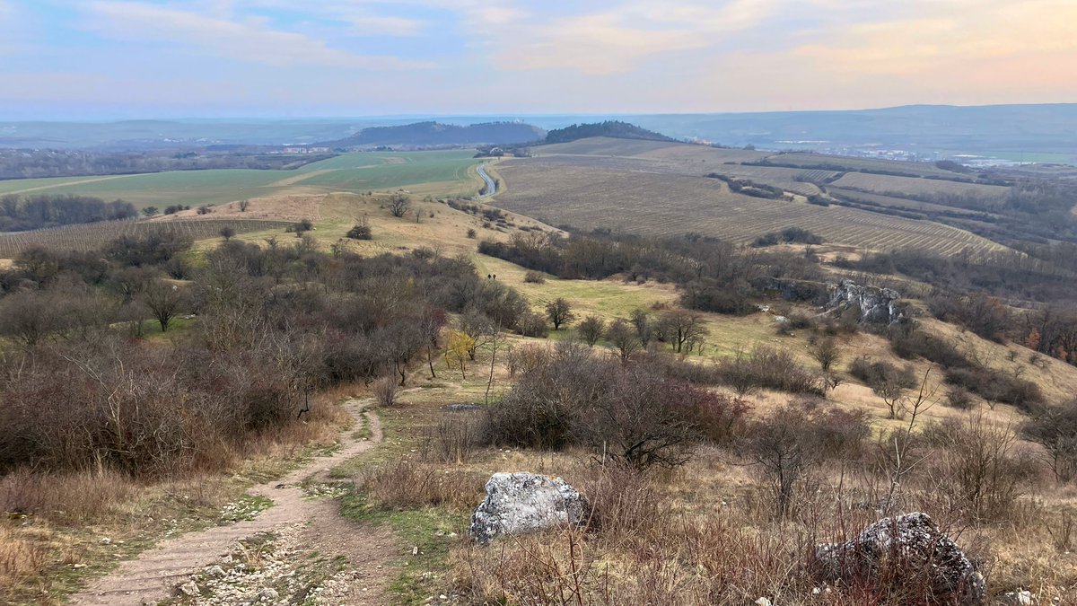 ovesná vločka tweet media