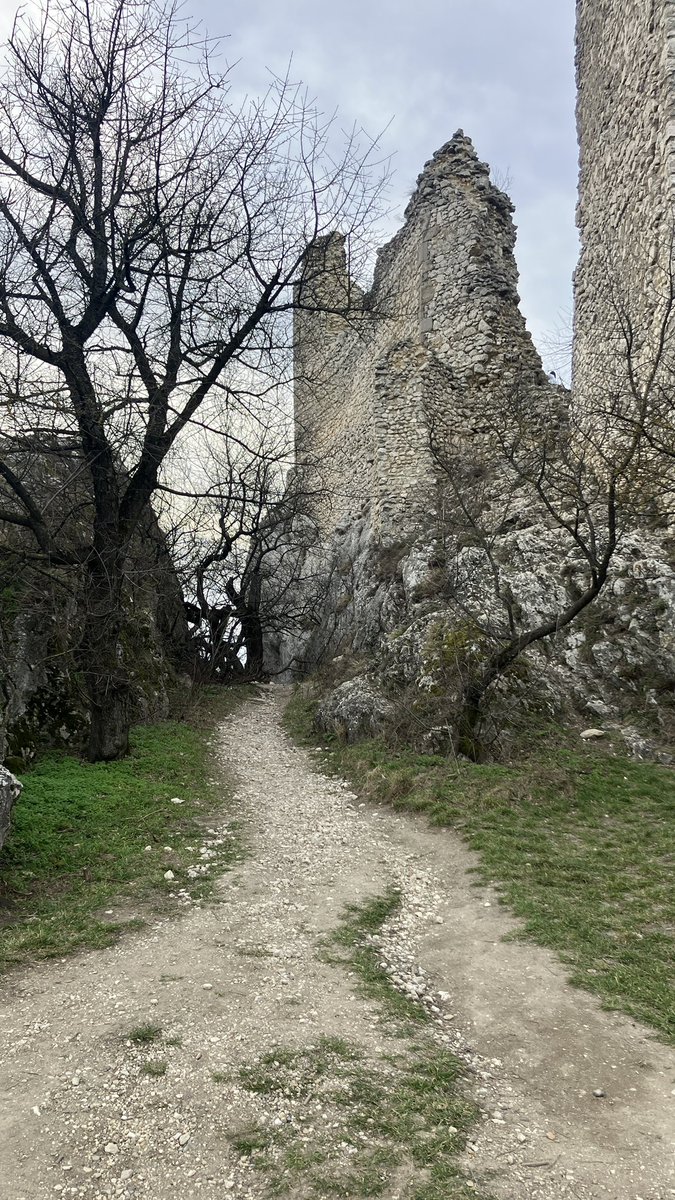 ovesná vločka tweet media