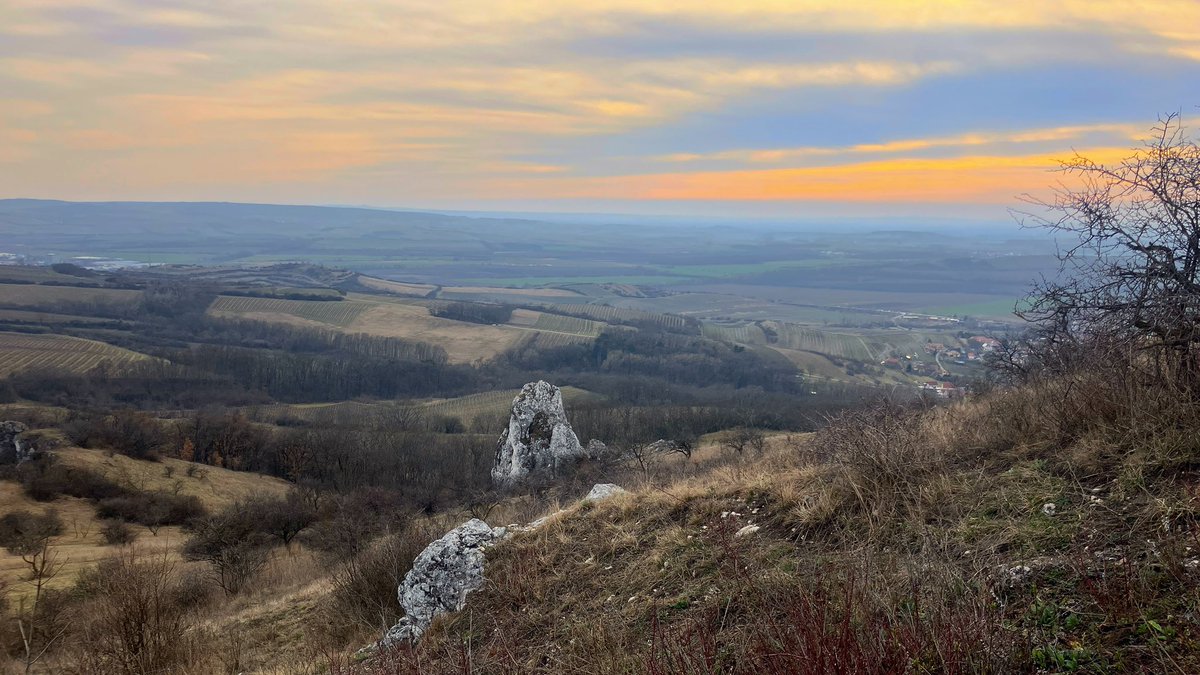 ovesná vločka tweet media