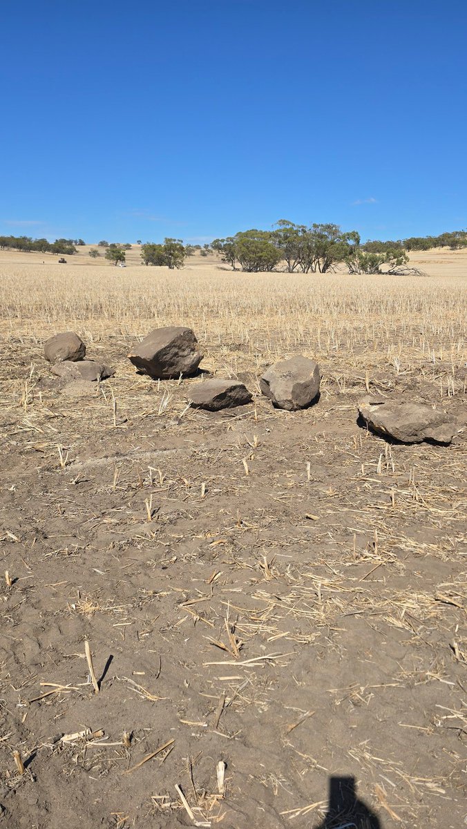 Ryan Zook tweet media