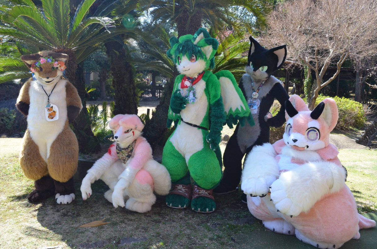 でびまるのおへや tweet media