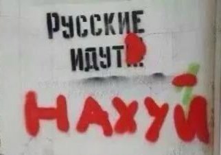 Dina 🇺🇦❤️🇬🇪 tweet media