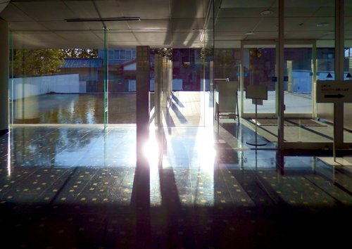kawakamitakeru's tweet image. kawakamitakeru.wixsite.com/photograph/dar…  #Nara #Japan