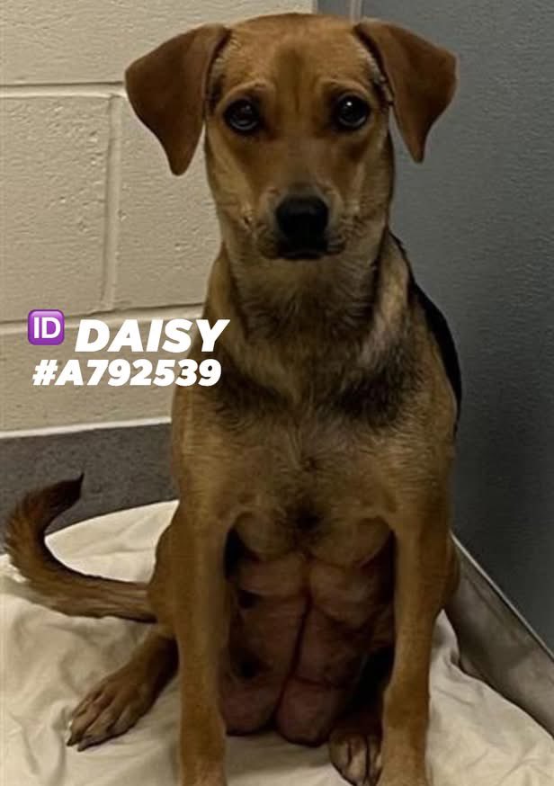 Aurora ⸆⸉ misses Liam ❯❯❯❯ tweet media