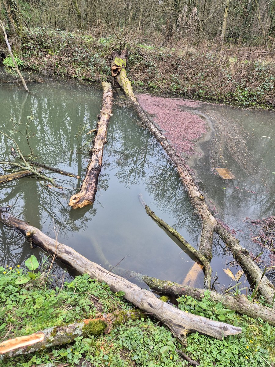 Every good deed is a great one @AndrewKenyon6