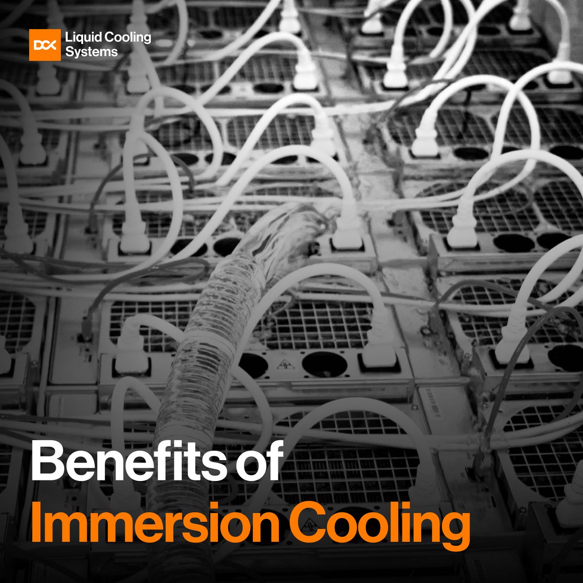 DCX Immersion & Hydro Mining tweet media