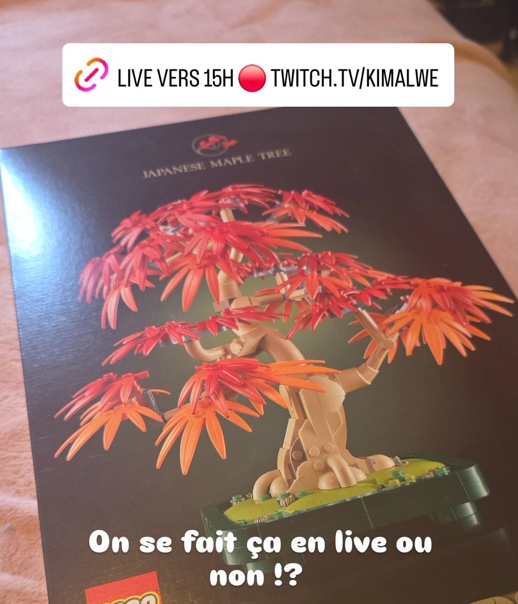 Kimalwe 🌸 tweet media