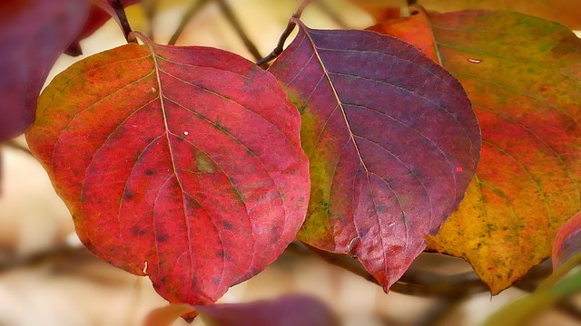 Neil Vora tweet media