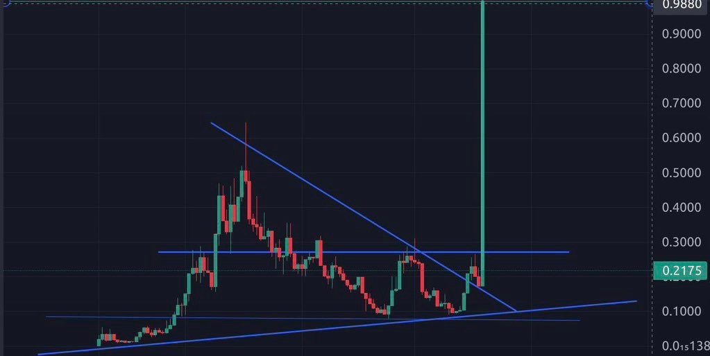 What’s the next memecoin to 100X?