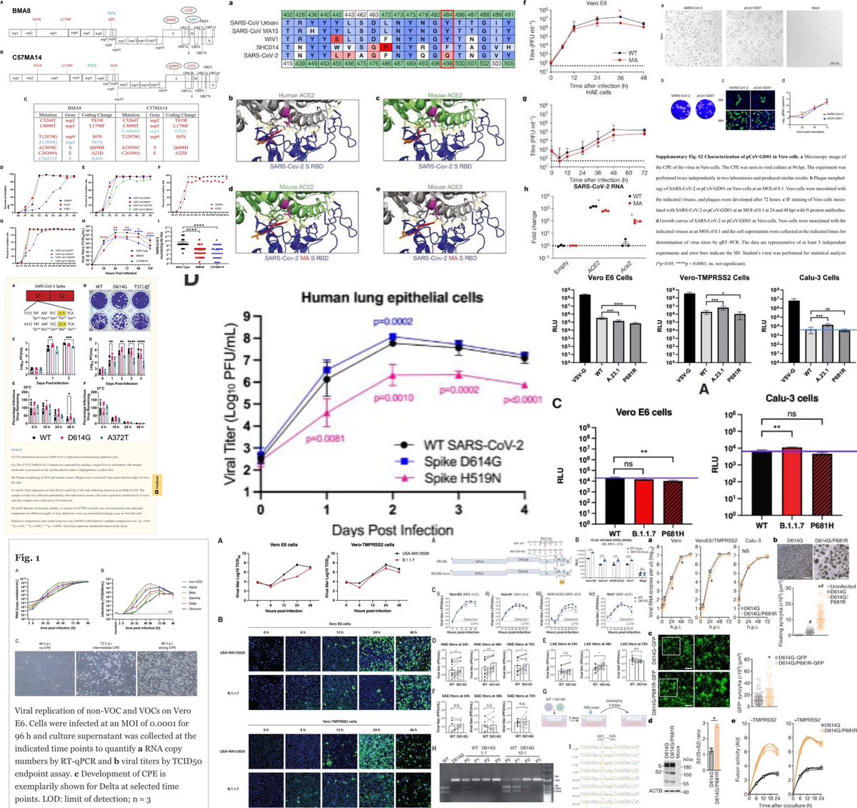 Kevin W. McCairn PhD tweet media