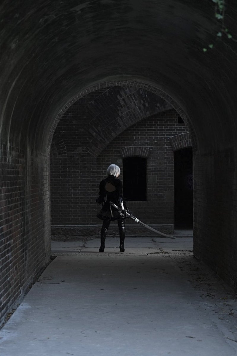 ねこ太 tweet media