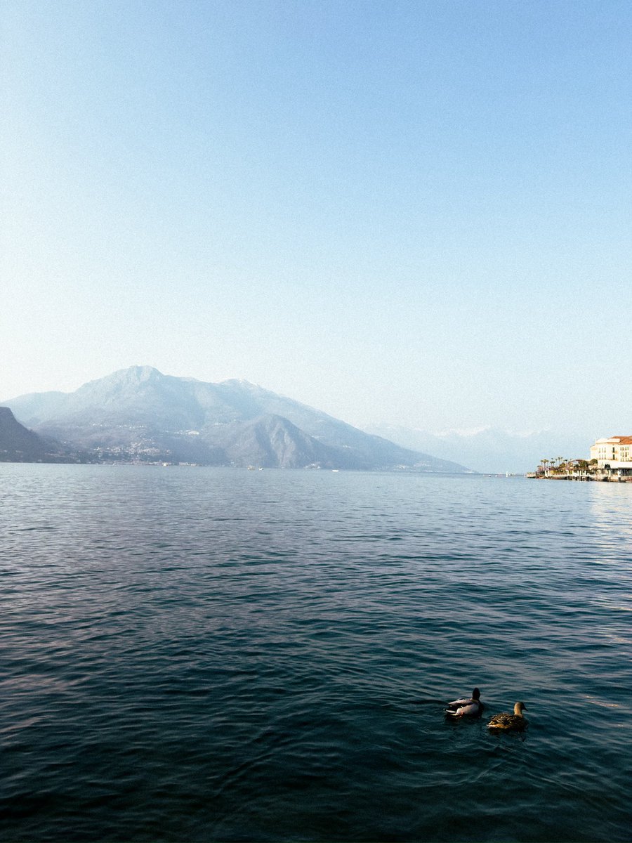 Harsh Punjabi tweet media