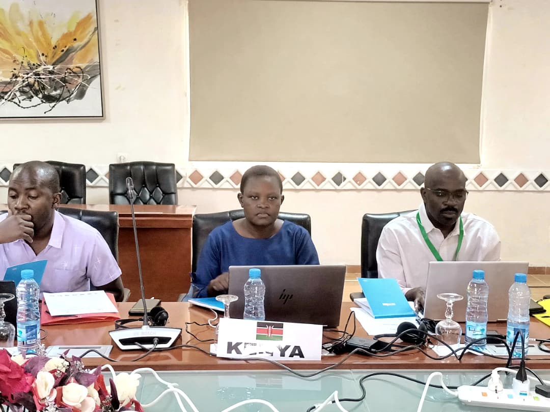 IGADHealthS's tweet photo. Harmonization of Migration and Displacement Data in the IGAD Region

🗓️9 - 13 March 2026 | Arta, Djibouti

The @IGADSecretariat has kicked off a Technical Workshop on the Review and Finalization of the Regional Guidelines for the Harmonization of Migration and Displacement Data 

The workshop brings together representatives from IGAD Member States, technical experts, and international partners to strengthen regional cooperation and enhance the quality, comparability, and use of migration data.

Ambassador Moussa @meigague, the Head of @IGADHealthS, representing  the IGAD Executive Secretary, underlined that despite progress made in strengthening migration data systems across IGAD Member States, disparities in definitions, methodologies, and reporting standards continue to limit data comparability and regional analysis.

He noted that  accurate, comparable, and harmonized data on migration and displacement are essential foundations for effective policymaking and regional cooperation.

Representatives from @ecowas_cedeao @jumuiya @giz_gmbh @RefugeesAfrica @ILOAfrica and @RDHRONairobi are attending the meeting. 

#IGADMigration #IGADRefugees