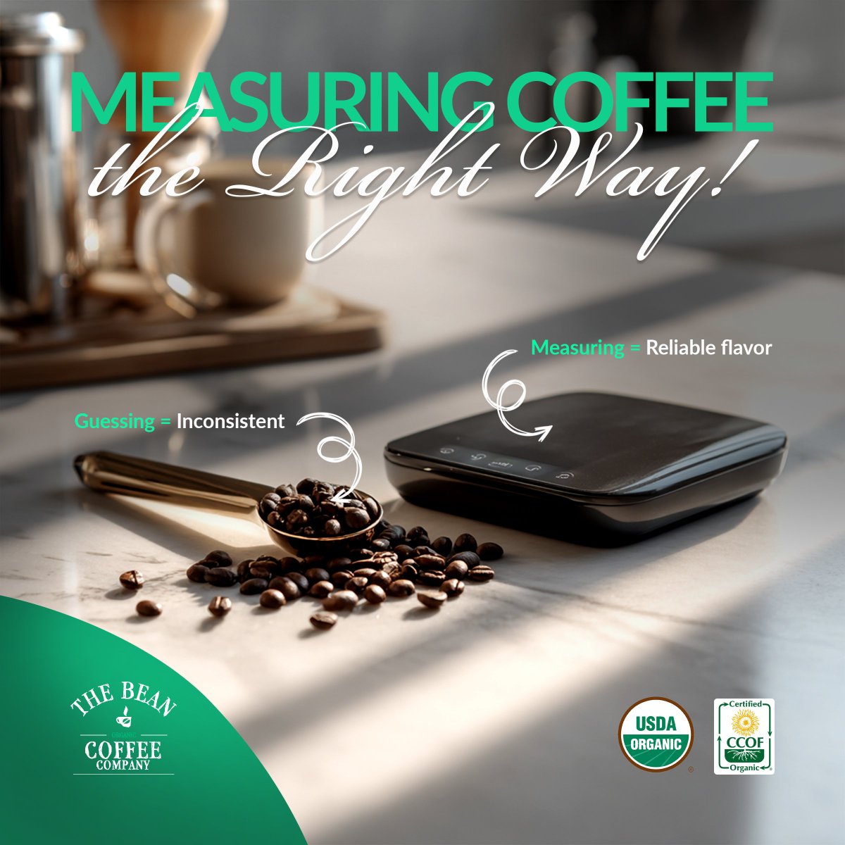 The Bean Coffee Company (@TheBeanOrganic) / Posts / X