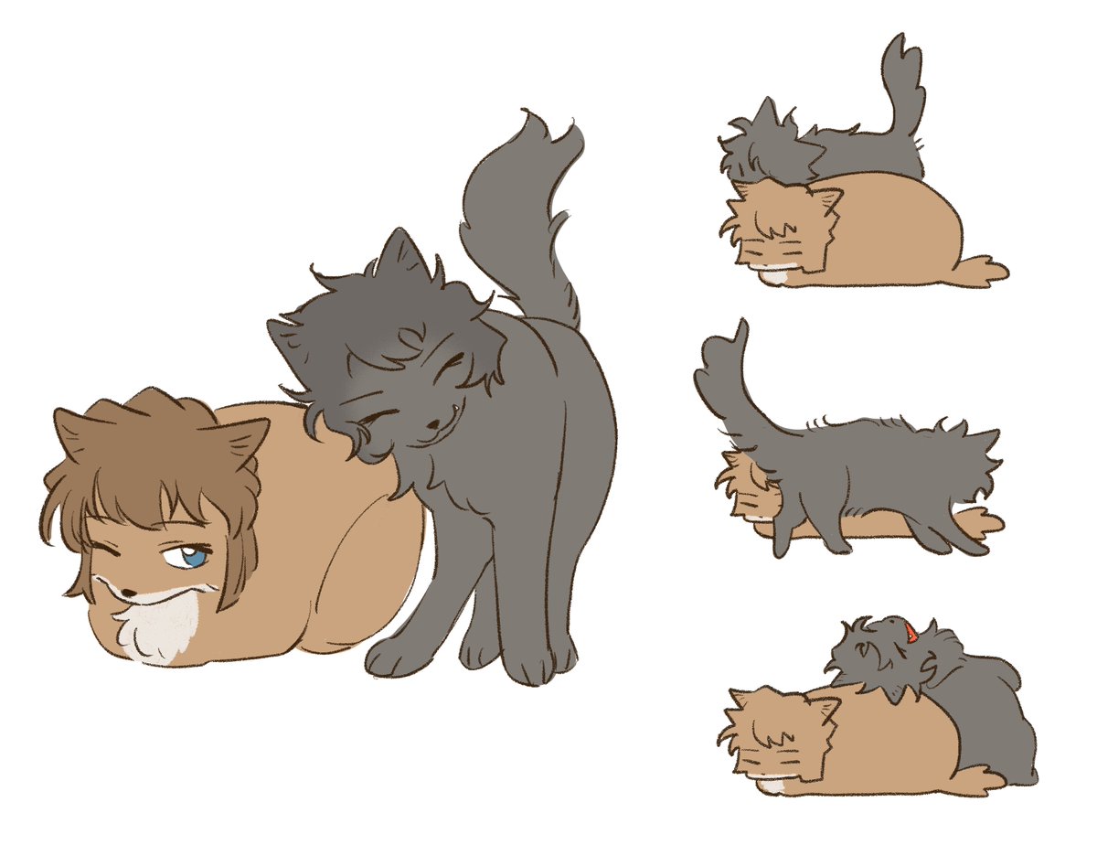 t•mato tweet media