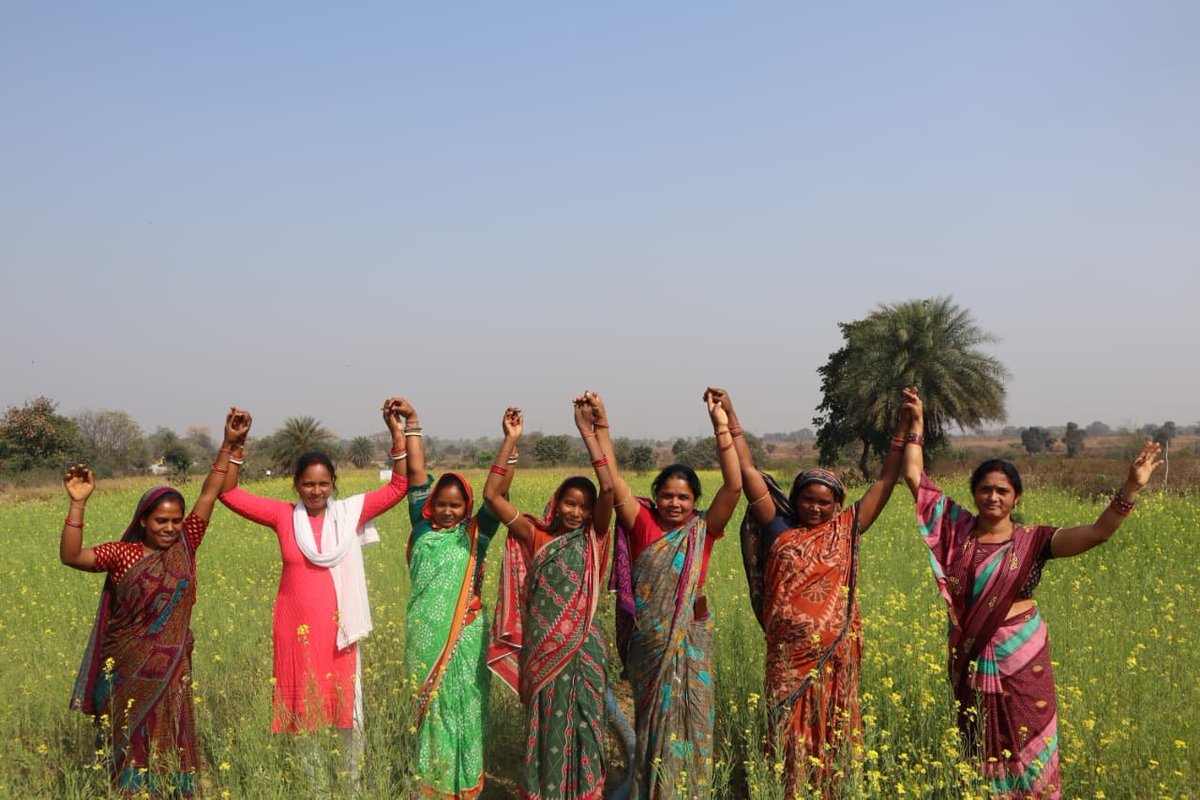 IFPRI South Asia tweet media