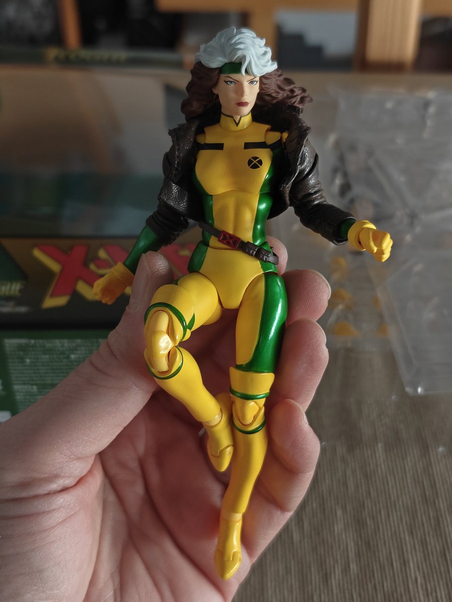Réception de Rogue par Mafex.