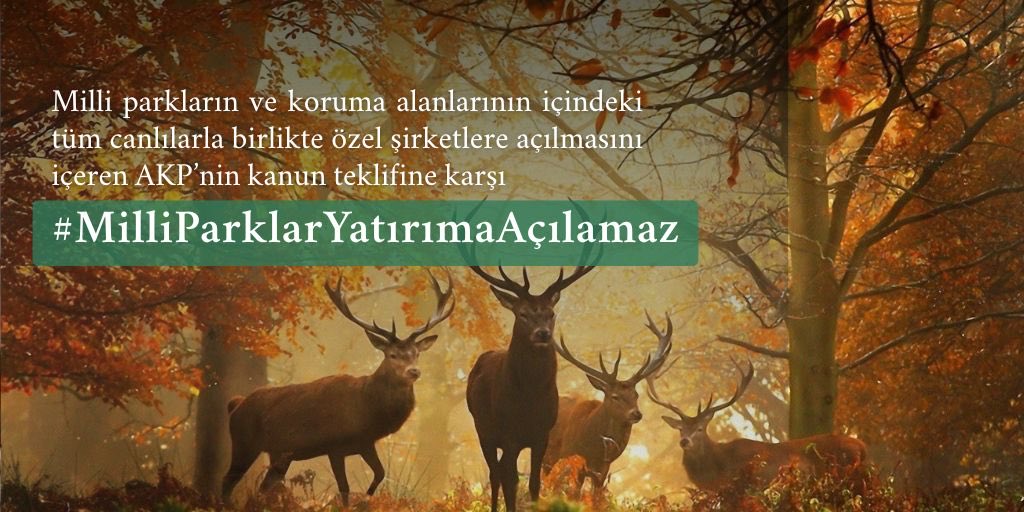 DEMekoloji's tweet photo. Milli parklar kanun teklifine karşı ekoloji ve hayvan özgürlüğü örgütleri de “Milli Parklar, avcıların, turizmcilerin sahası değildir. Ekosistemleri korunmalı, koruma statüleri güçlendirilmelidir” diyorlar.

Tasarı ivedilikle geri çekilmelidir.

#MilliParklarYatırımaAçılamaz https://t.co/G2t9xEVcSW