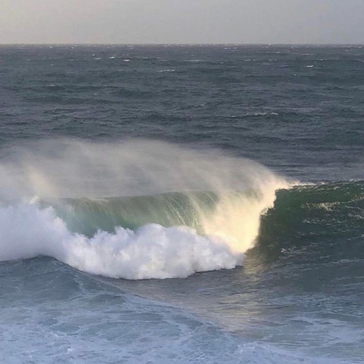 𝒍𝒖𝒏𝒂 tweet media