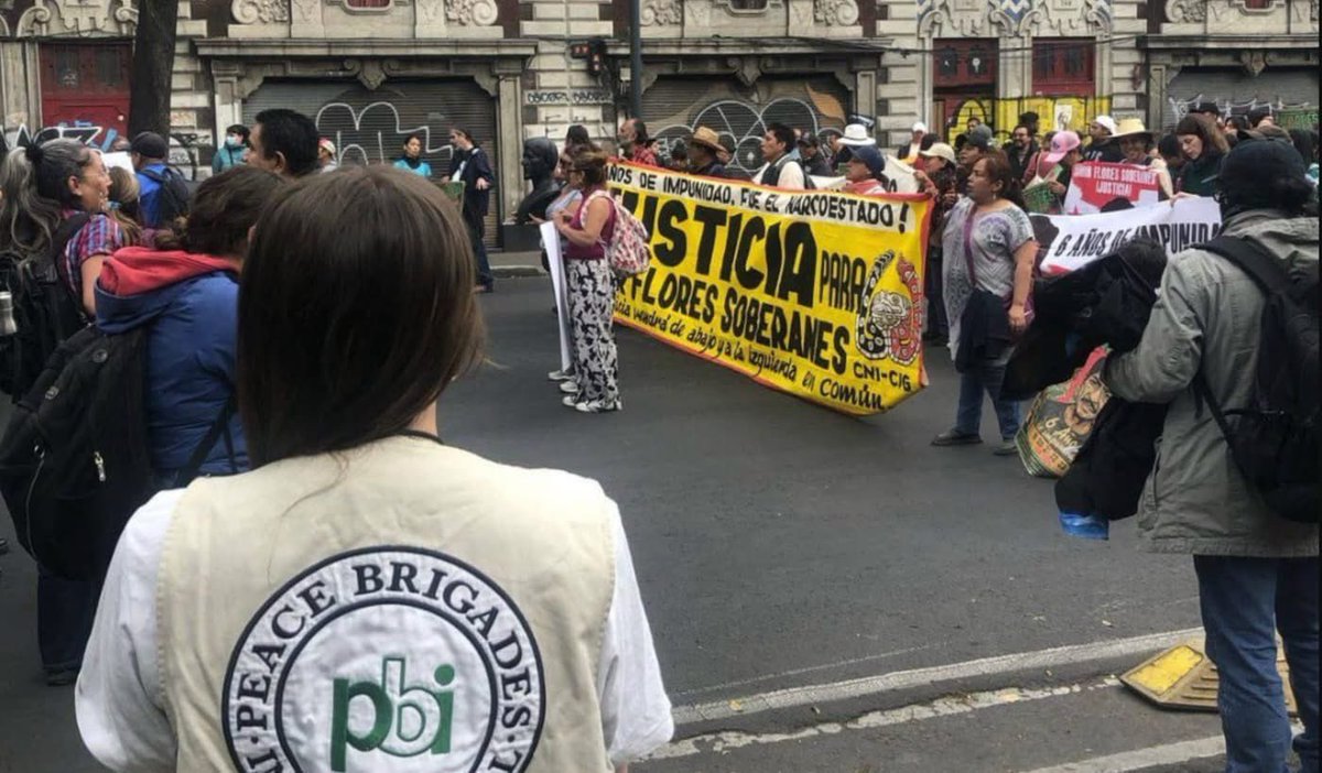 Peace Brigades USA tweet media