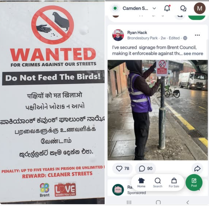 Jim Gibson tweet media