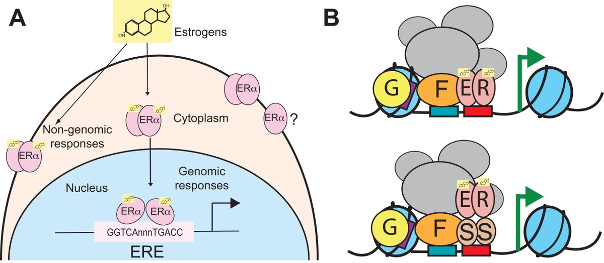 Biochemistry and Cell Biology tweet media
