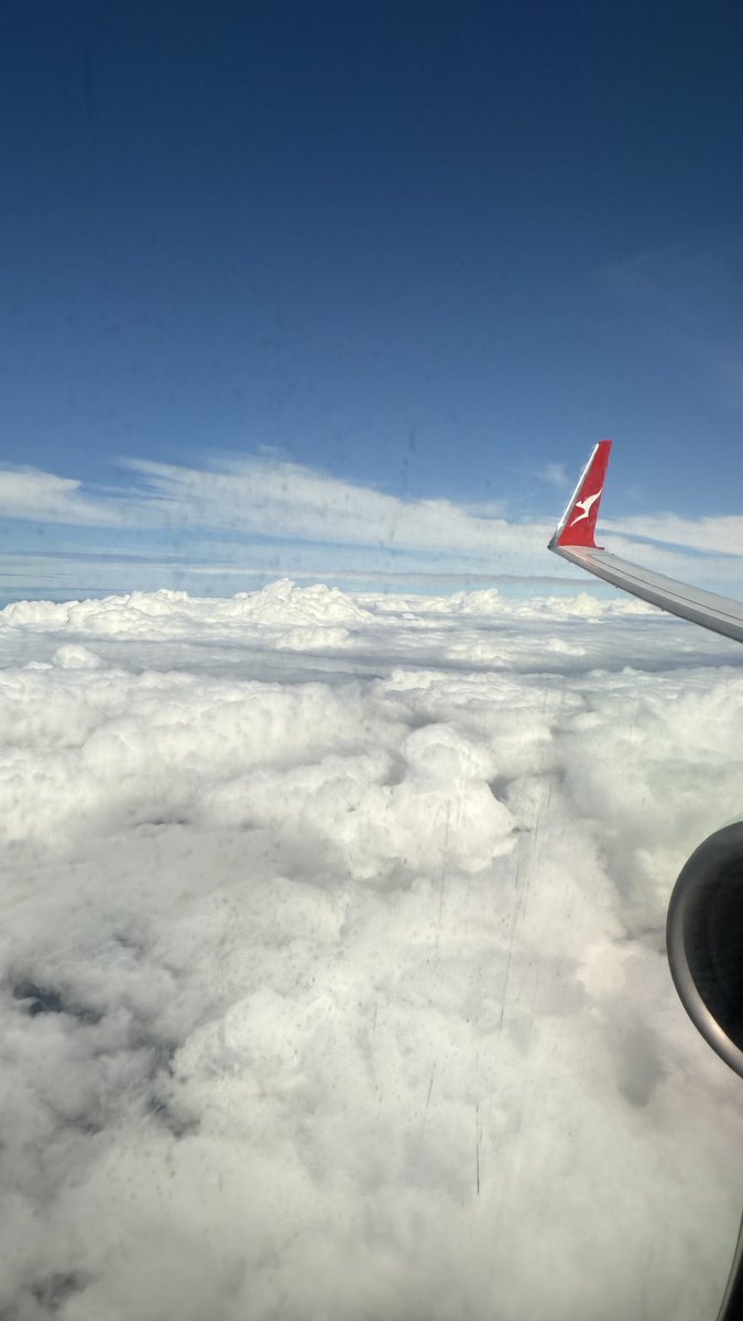 Kez 🏳️‍🌈🏳️‍⚧️✊🏾🐈‍⬛🐈🐓🧡 tweet media