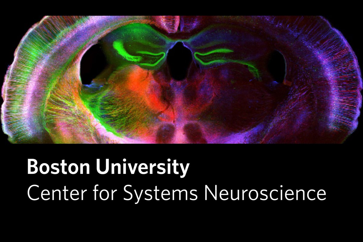 Center for Systems Neuroscience, Boston University tweet media