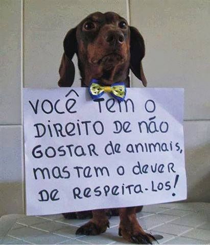 Viviane Fernandes ཐི༏ཋྀ tweet media