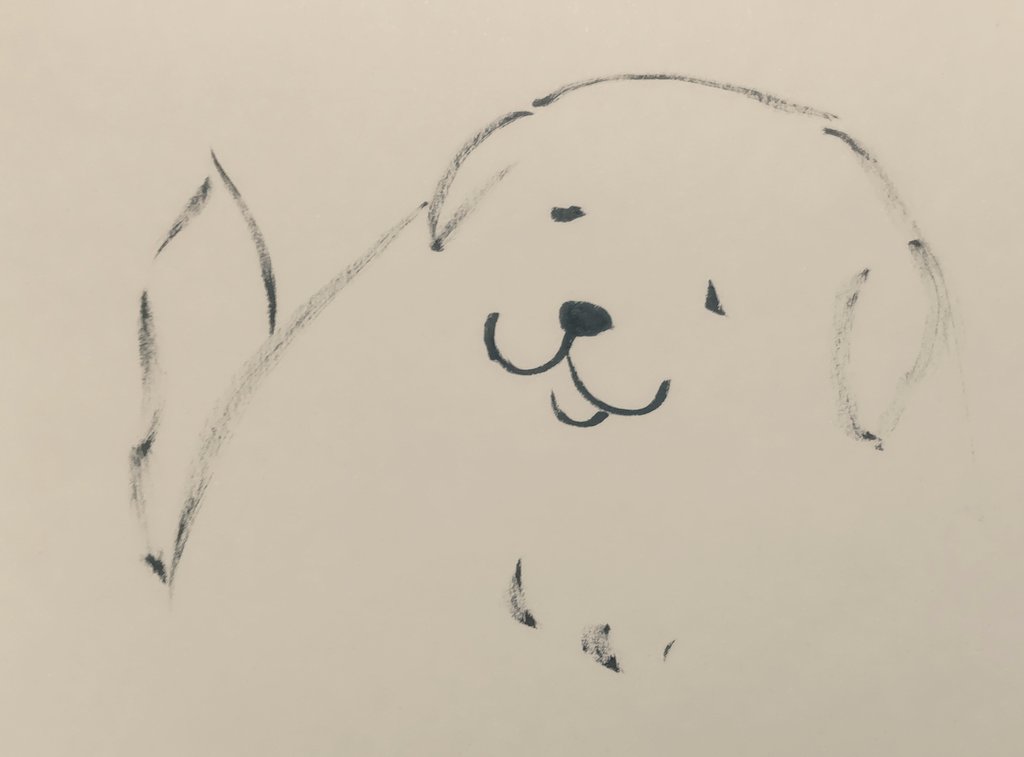 jissunboshi96's tweet photo. 近所の優しそうなレトリバーの顔。
心の傷を癒やす力がある。好き。 https://t.co/WniCpo6B2U