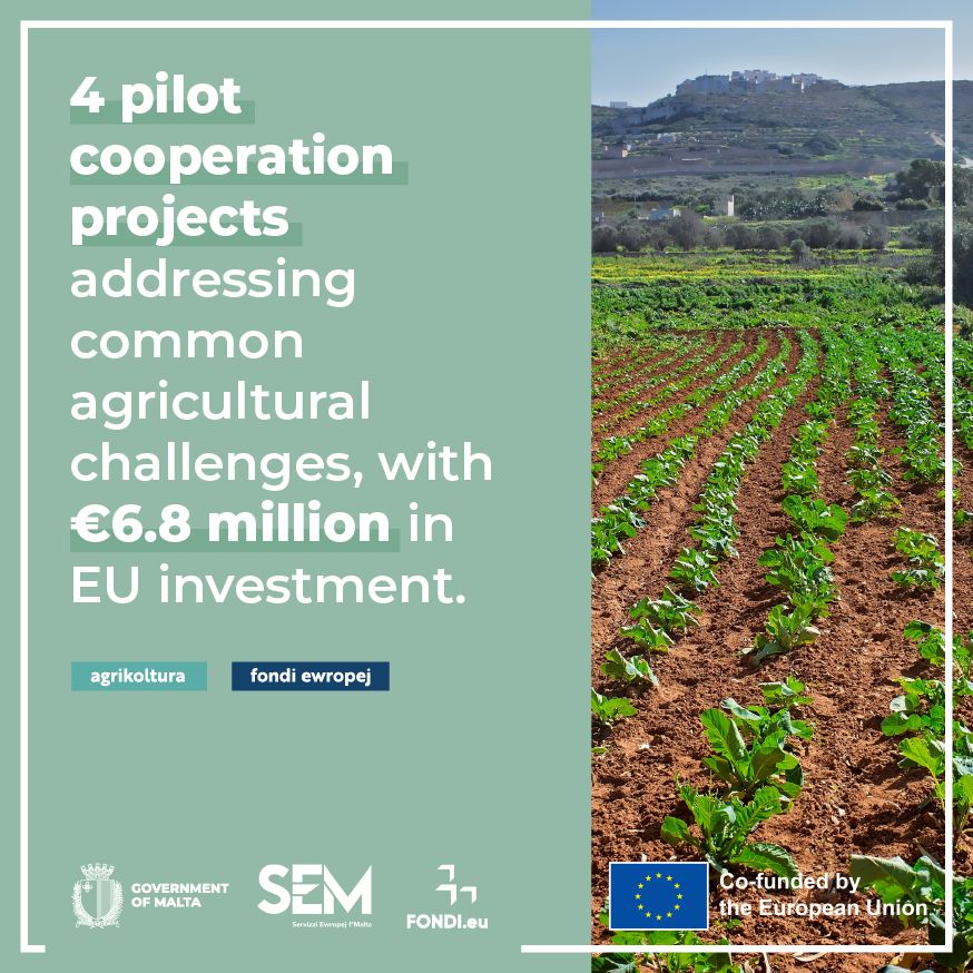 Fondi.eu tweet media