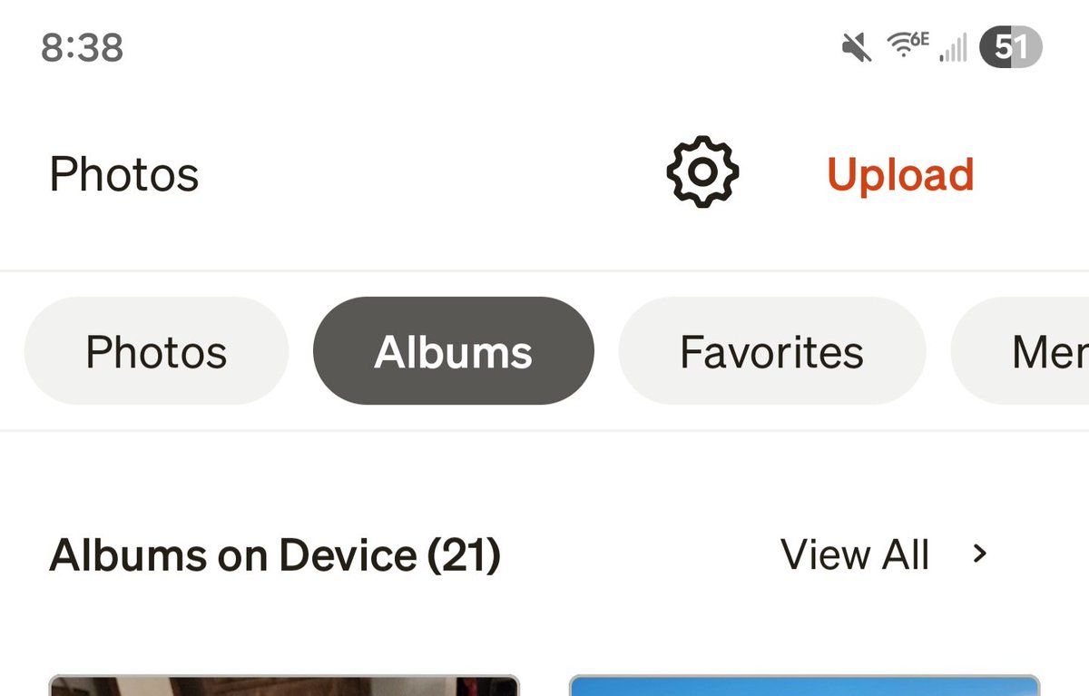 Lizartphotos tweet media