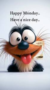 Caravans & Campers tweet media