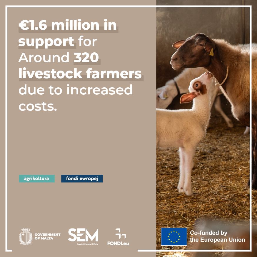 Fondi.eu tweet media