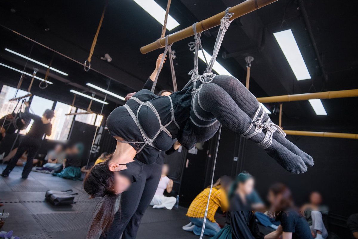 Mosaic cat_maomao tweet media