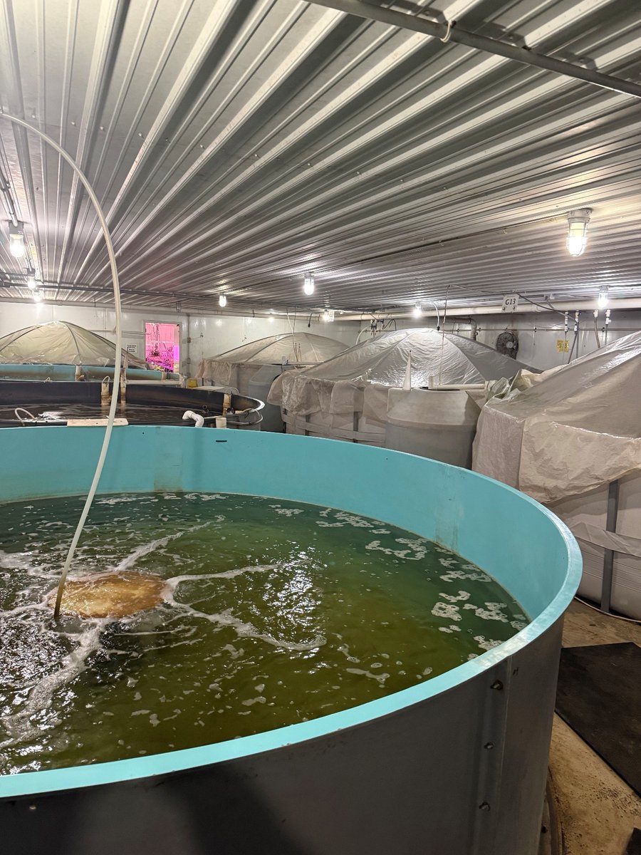 Indiana Economic Development Corp. tweet media