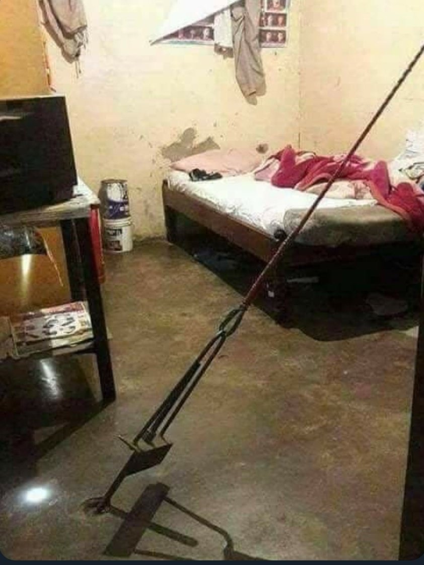 Sprinkle ✨ tweet media