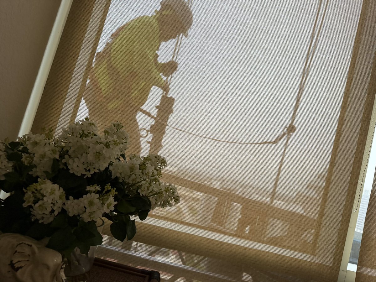 Colette Harrington tweet media