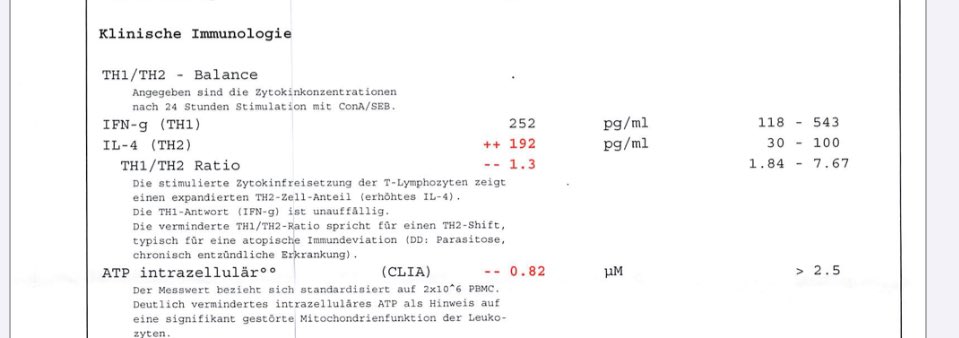 Dr.C.Werner 🎗️🇮🇱 tweet media