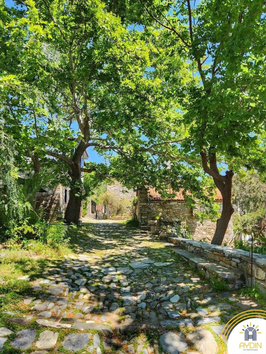 Visit Aydın tweet media