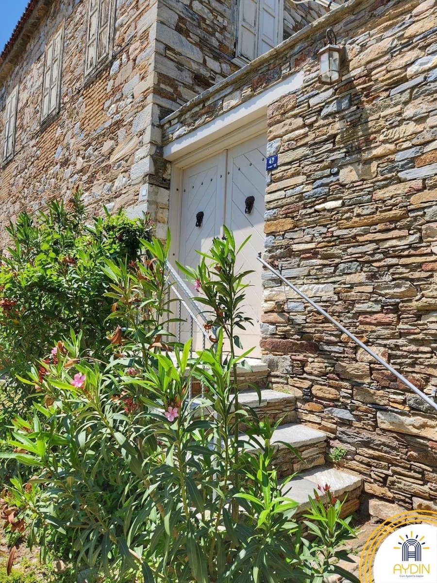 Visit Aydın tweet media