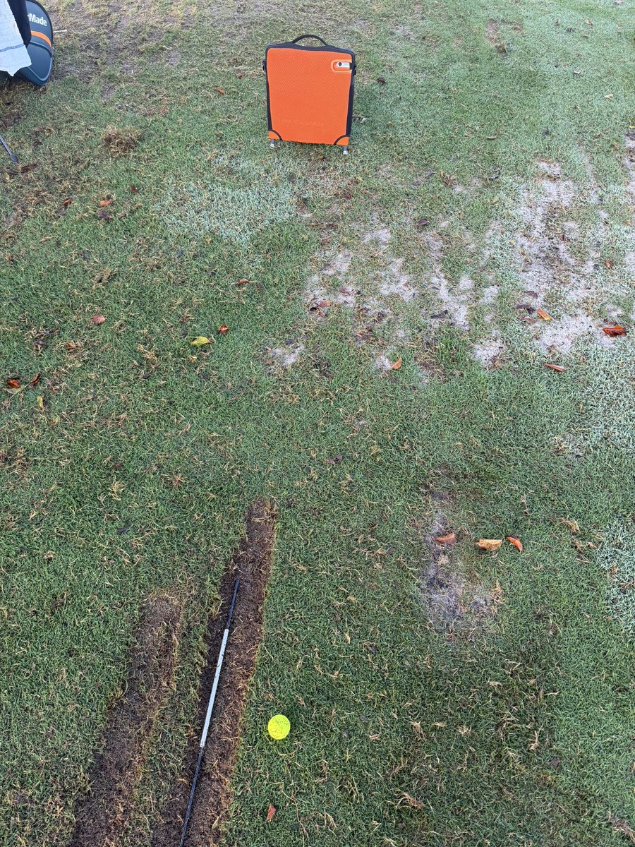 Chuck Sandberg tweet media