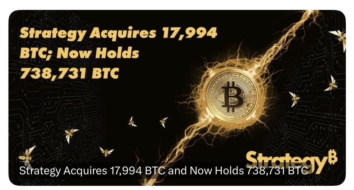 Alex Red Grey tweet media